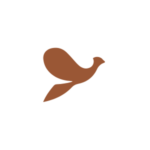 Shift Loerie Awards - Bronze