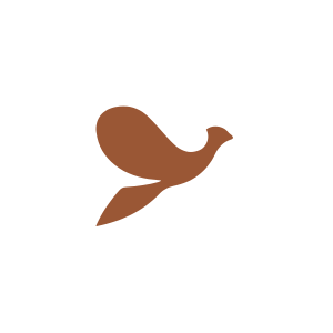Shift Loerie Awards - Bronze