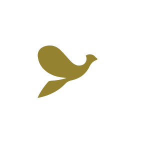 Shift Loerie Awards - Gold