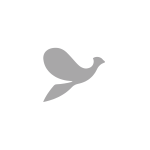 Shift Loerie Awards - Silver
