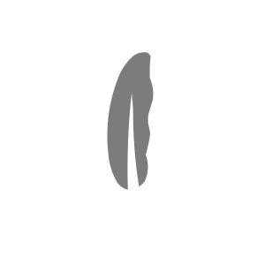 Shift Pendoring Awards - Silver